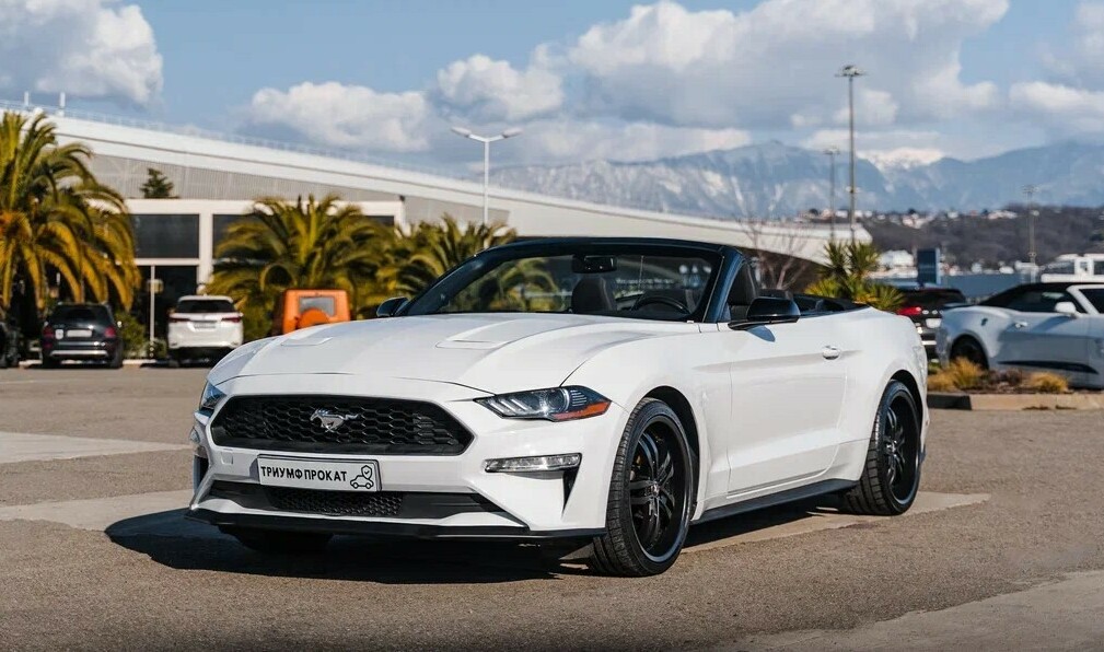 <span style="font-weight: bold;">Ford Mustang White&nbsp; &nbsp; &nbsp; &nbsp; &nbsp; &nbsp; &nbsp; &nbsp; 12.000 ₽ / сутки</span>