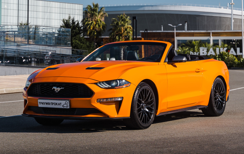 <span style="font-weight: bold;">FORD MUSTANG&nbsp; &nbsp; &nbsp; &nbsp; &nbsp; &nbsp; &nbsp; &nbsp; &nbsp; &nbsp; &nbsp; &nbsp; &nbsp; &nbsp; 10.800&nbsp;₽ / сутки&nbsp;</span>